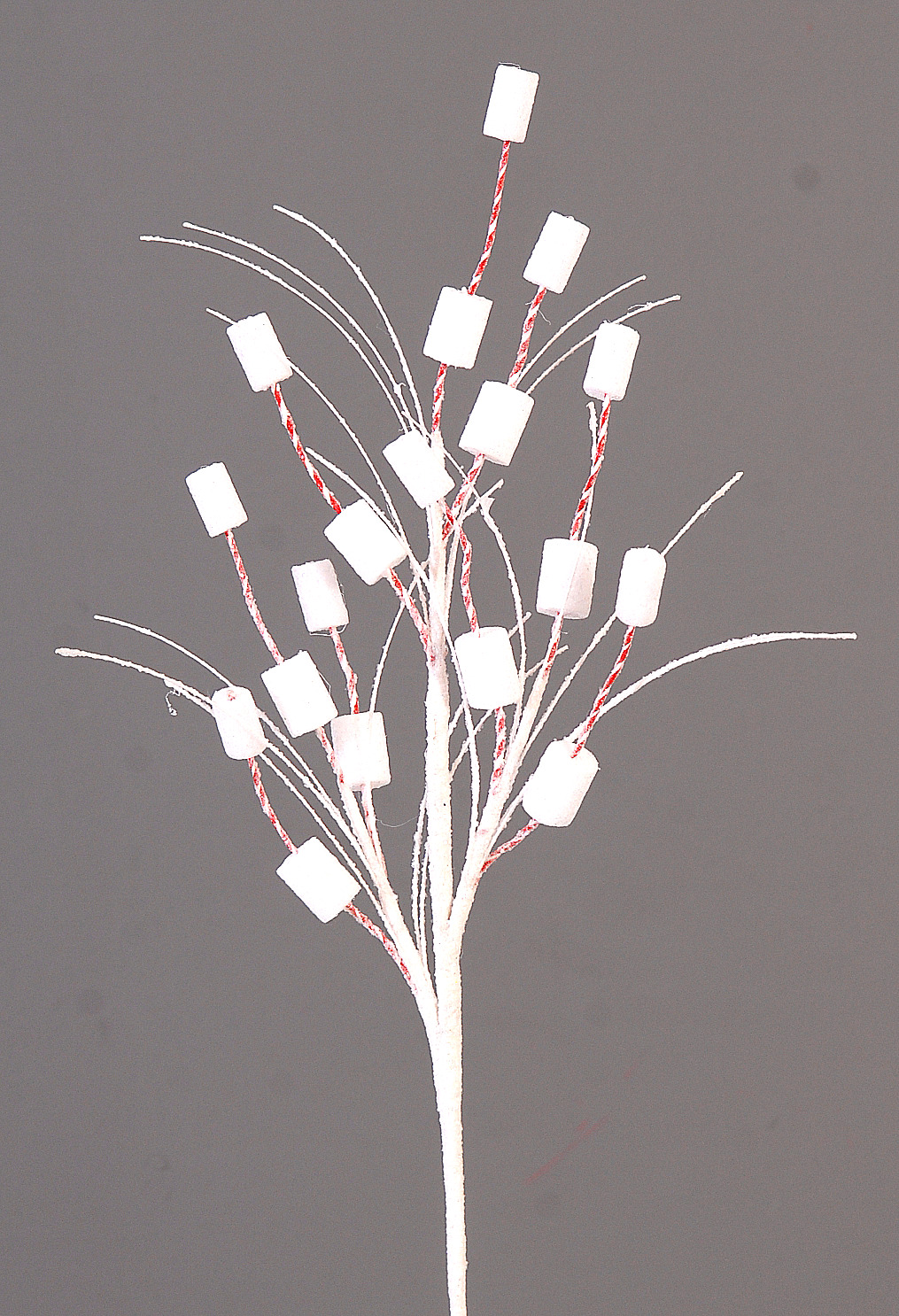 12/96-63cm Branch w/white marshmallow