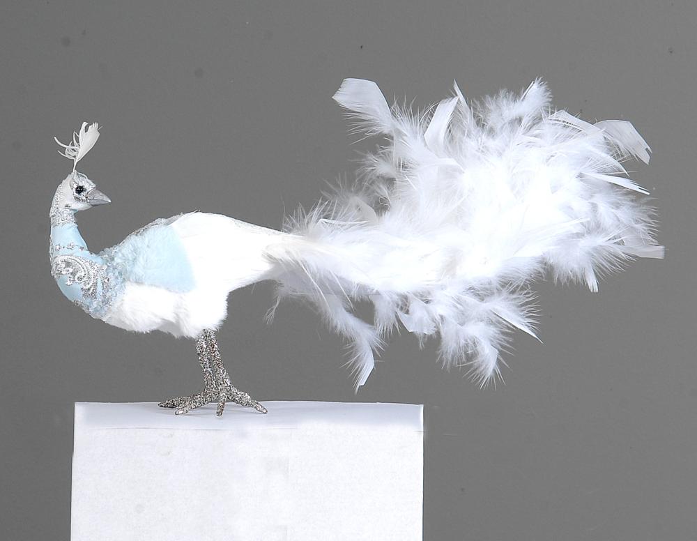 2/16-23cm Blue peacock