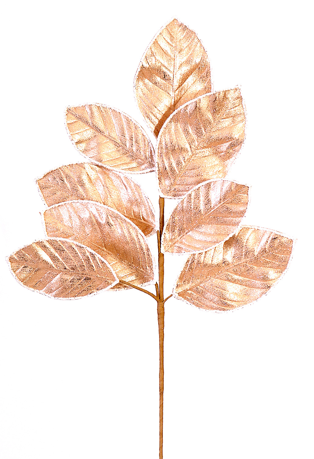 12/120-68cm Champagne branch w/leaves