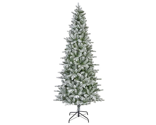 Killington fir frosted 2.40M