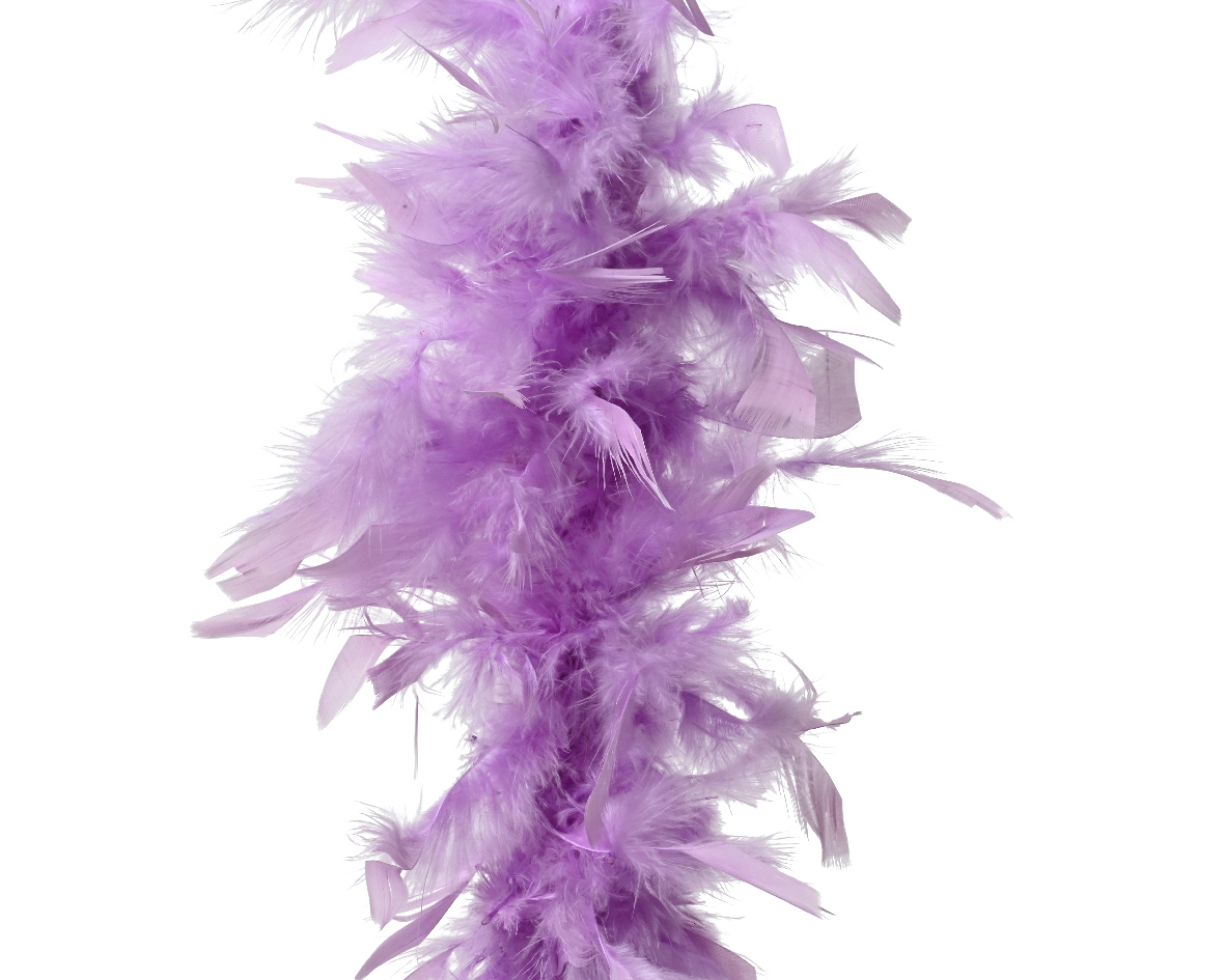 Boa feather