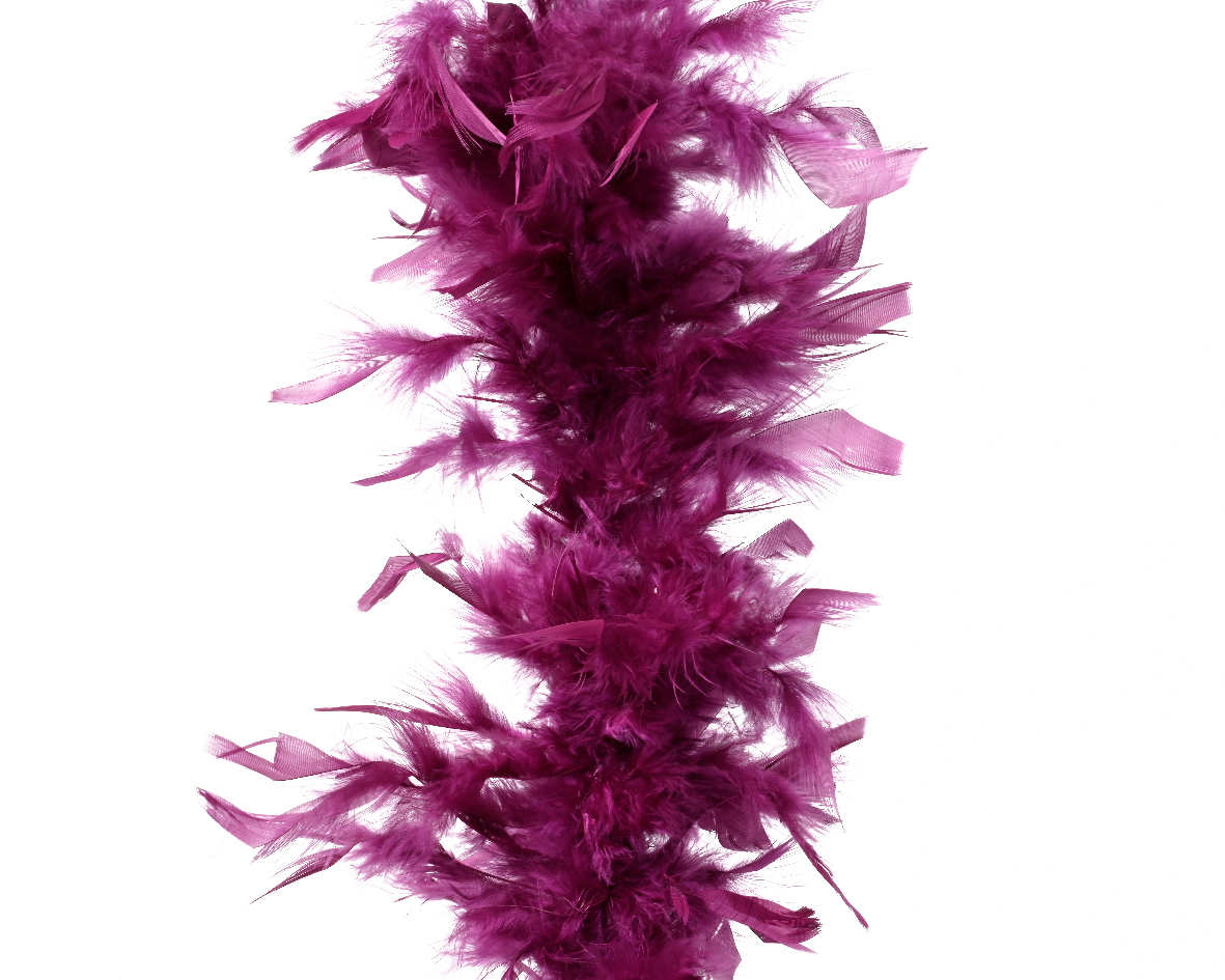 Boa feather
