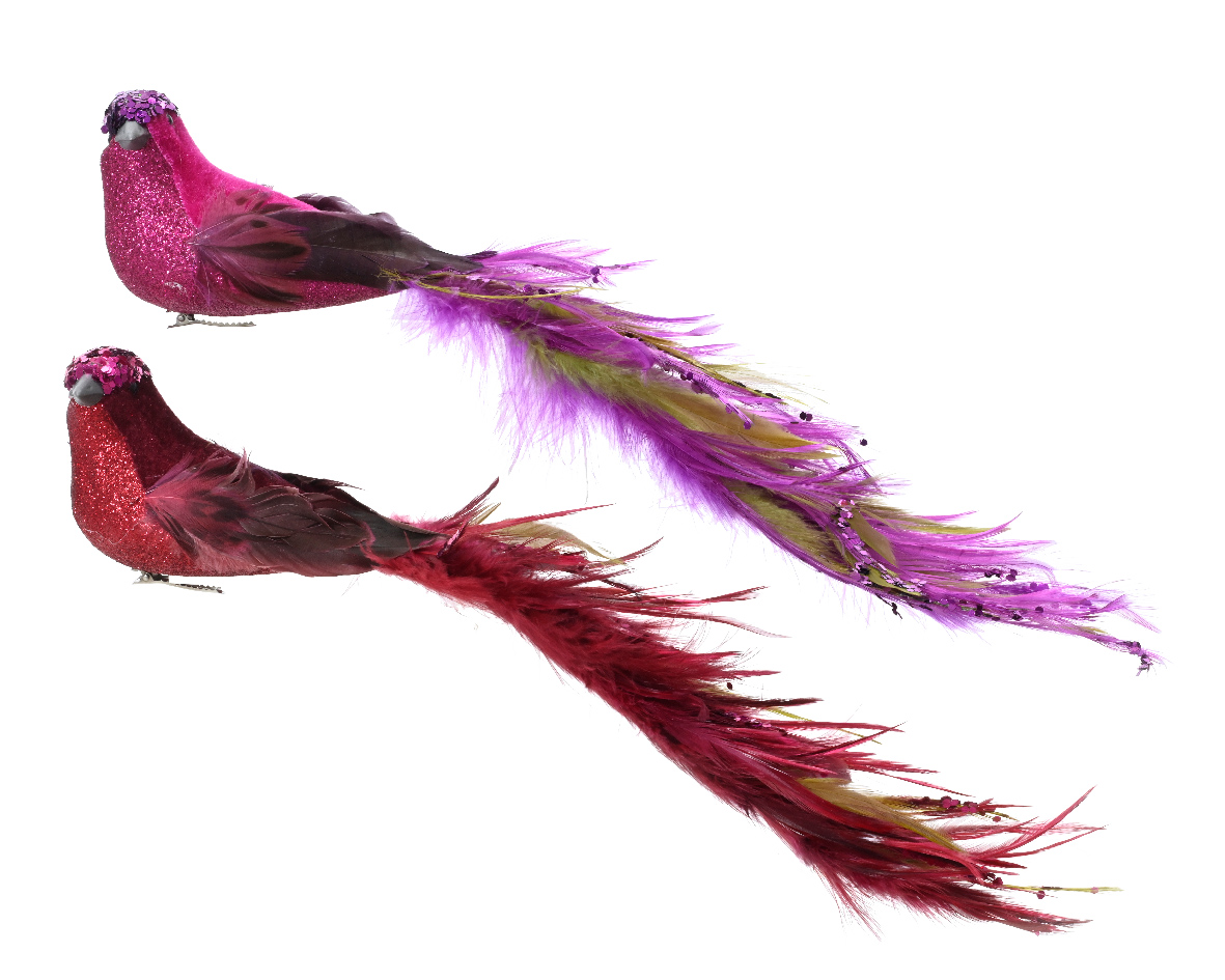 Bird foam glitter with spangle on clip 2col ass