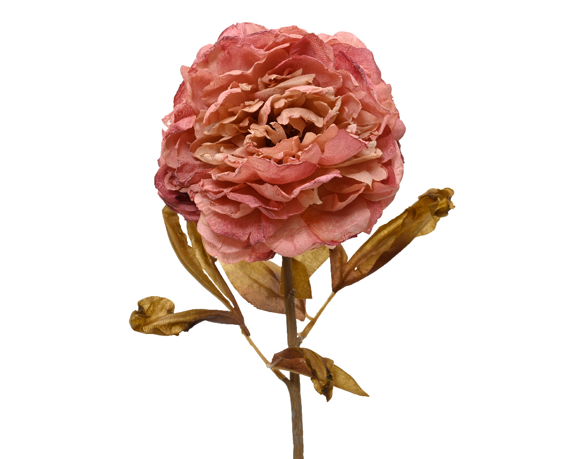 Peony peony on stem polyester w leaves