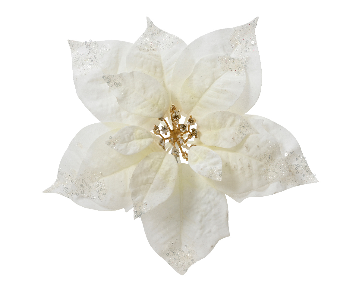 Poinsettia poinsettia on clip polyester sparkle on petal and center
