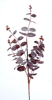 20/320-65cm Burgundy branch w/snow glitter
