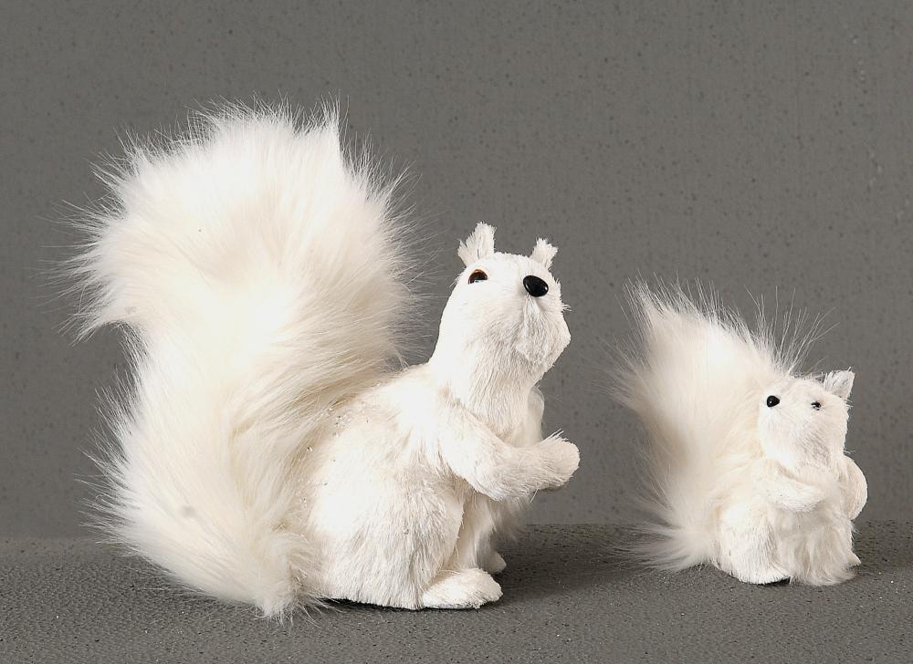 4/16 - 25cm white squirel