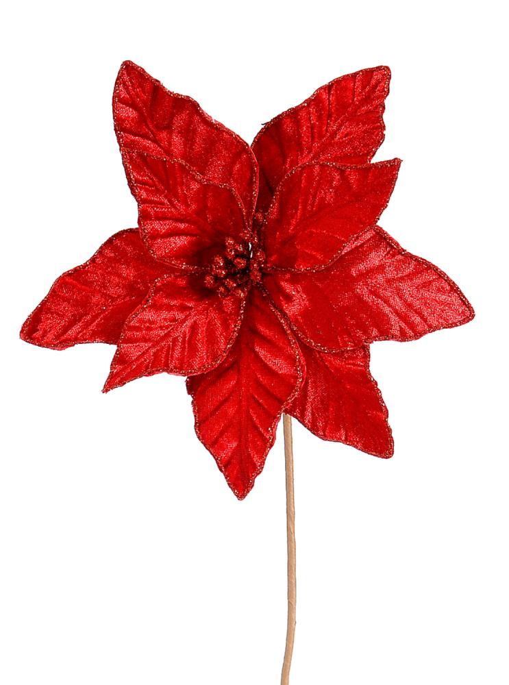 24/144-Red poinsetia