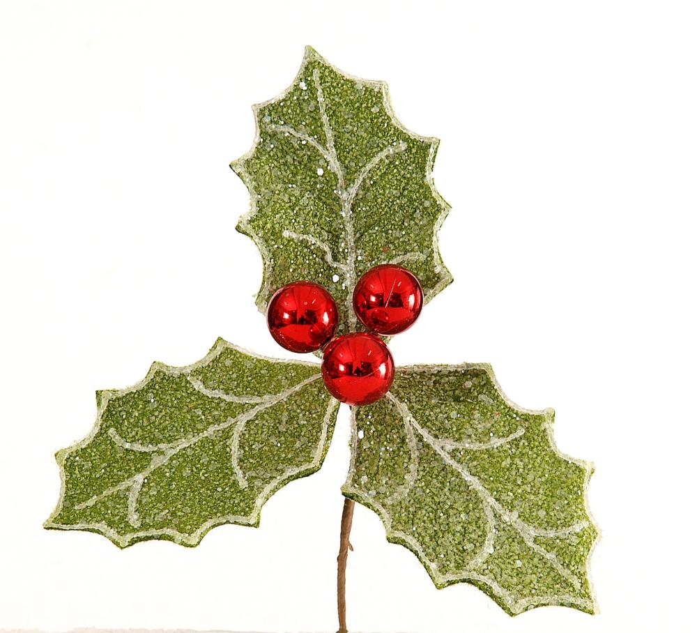 12/120-Poinsetia gye
