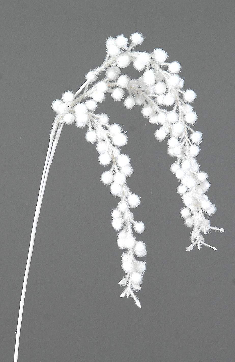 6/120-100cm White branch