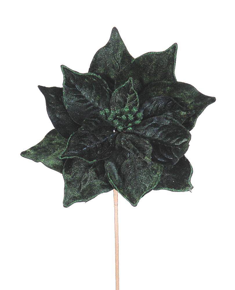 12/120-23cm Dk green poinsetia