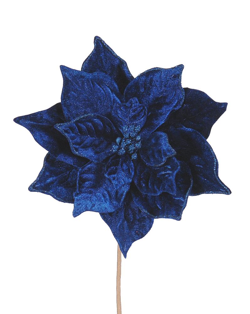 12/120-23cm Dk blue poinsetia