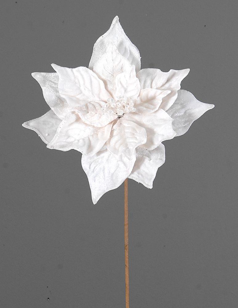 12/120-23cm Ivory poinsetia