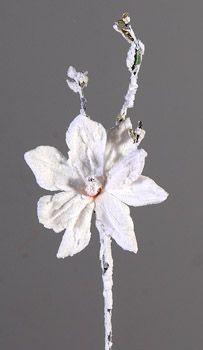 6/96-45cm Snow magnolia pick
