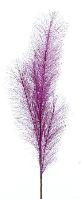 24/192-80cm Purple pampas branch
