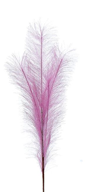 24/192-80cm Pink  pampas branch