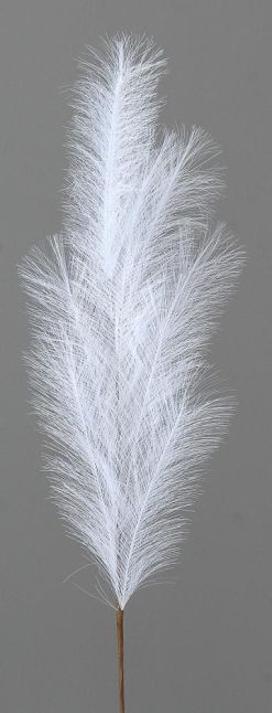 12/192-100cm White pampas branch