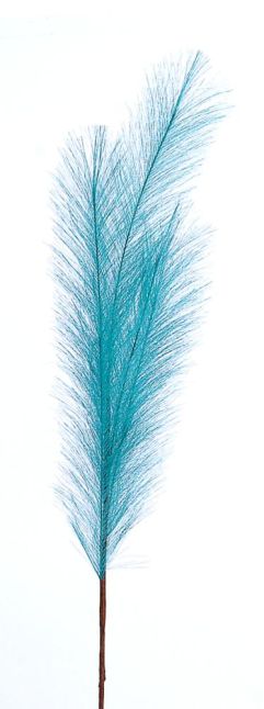 24/192-80cm Blue pampas branch