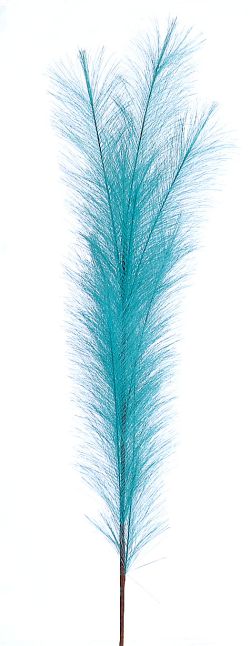 12/192-100cm Blue pampas branch
