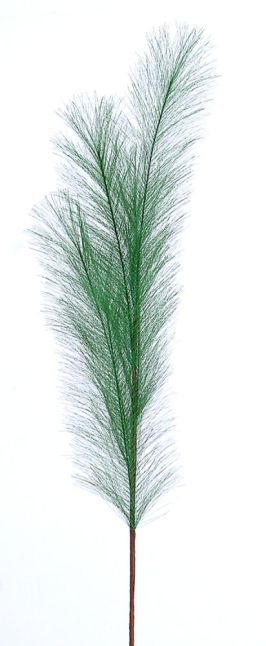 24/192-80cm Green pampas branch