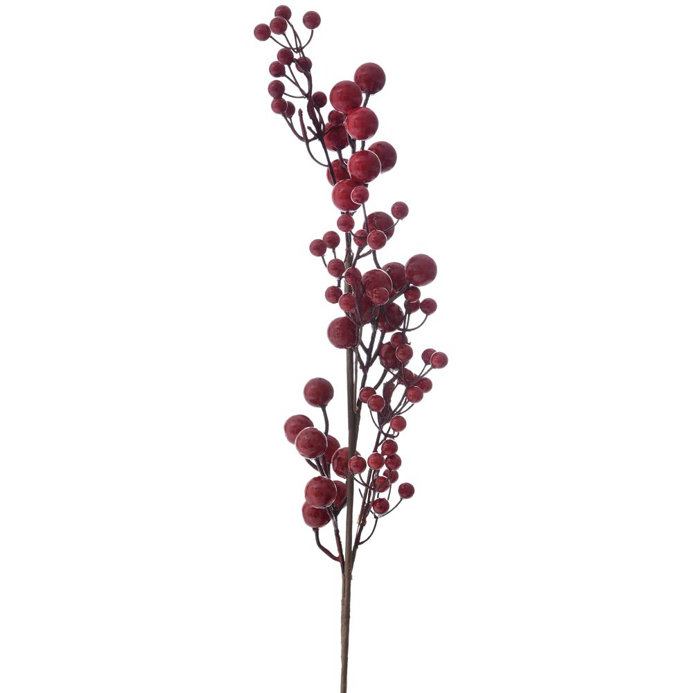 ΧΡ ΚΛΑΔΙ ΜΕ ΜΙΚΡΑ ΚΟΚΚΙΝΑ ΡΟΔΙΑ ΚΑΙ BERRIES 57ΕΚ